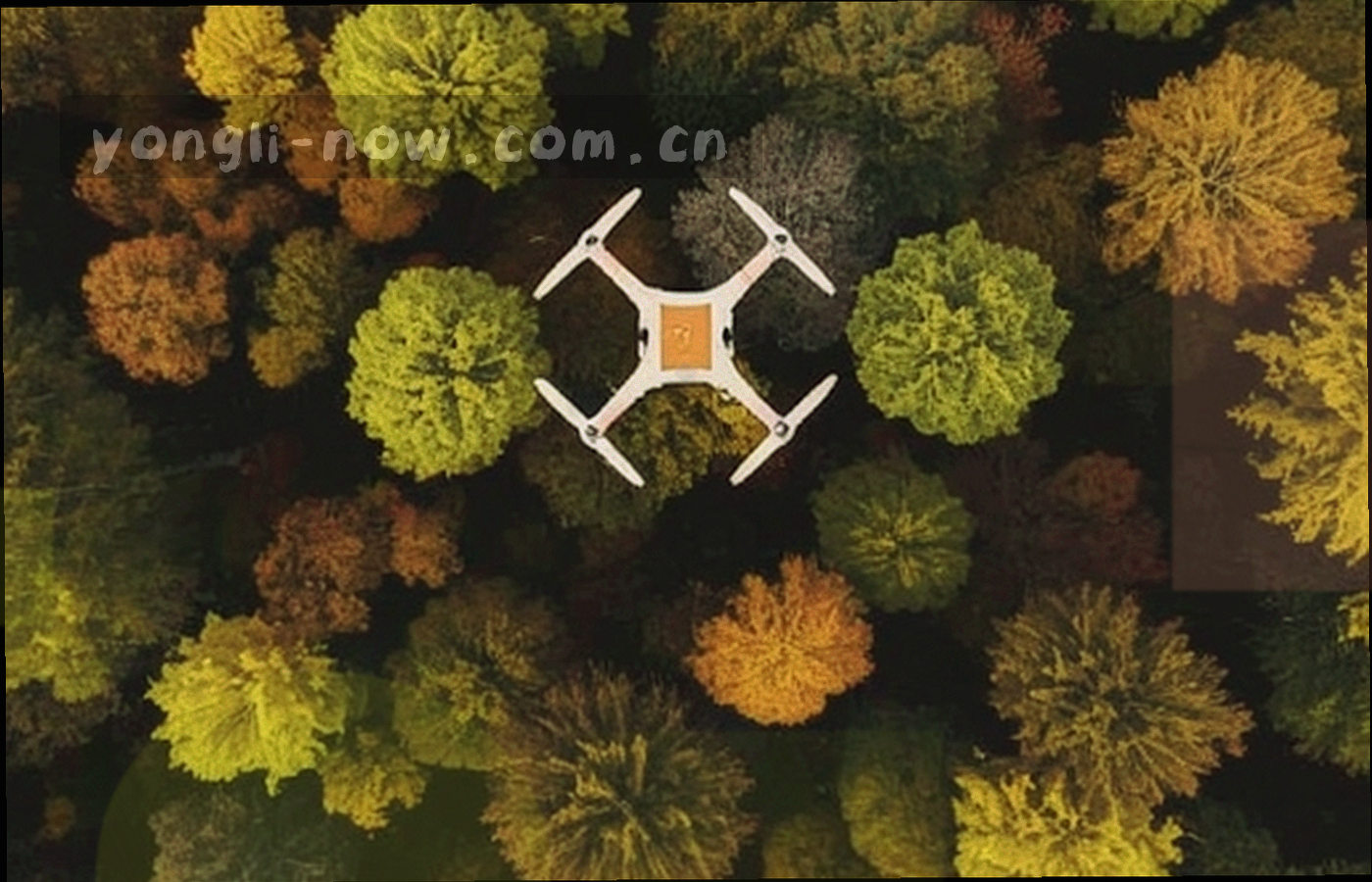 纸张纹理与浅色几何色块交叠的抽象构图，块面之间以细线分隔